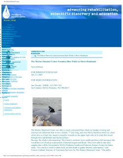 The Center Examines Blue Whale