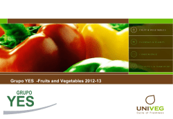 Packaging - grupo yes