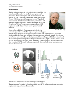 INTRODUCTION he flat periwinkle is a small (~1 cm long) marine