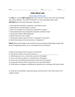 Cells Alive! Lab