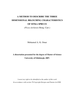 A method to describe the 3 dimensional branching structure of Sitka