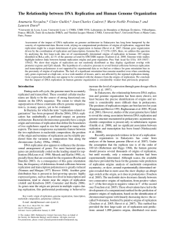The Relationship between DNA Replication and Human Genome
