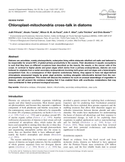 Chloroplast-mitochondria cross-talk in diatoms