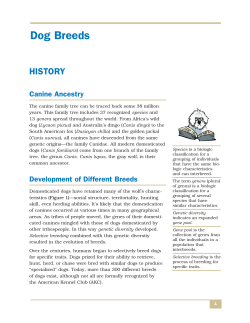 Dog Breeds - Penn Foster