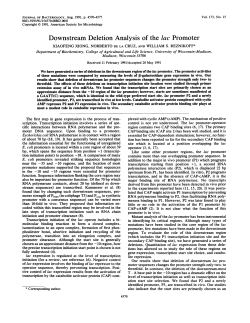 Downstream Deletion Analysis of the lac Promoter