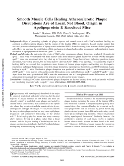 Smooth Muscle Cells Healing Atherosclerotic Plaque
