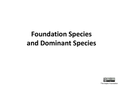 Foundation Species and Dominant Species