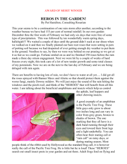 HEROS IN THE GARDEN!