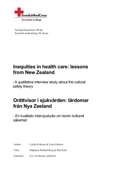 Inequities in health care: lessons from New Zealand Or&auml;ttvisor i
