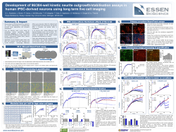 Development of 96/384-well kinetic neurite
