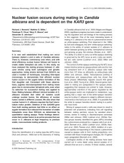 Nuclear fusion occurs during mating in Candida