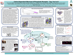 Poster - MSOE Center for BioMolecular Modeling