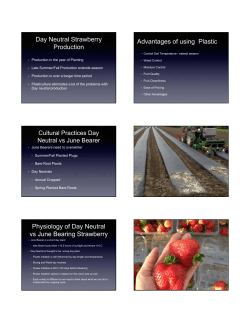 Day Neutral Strawberry Production
