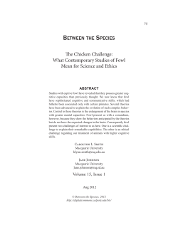 The Chicken Challenge â•ﬁ What Contemporary Studies Of Fowl