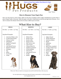 Pugz&trade; Shoes Paw Size Chart
