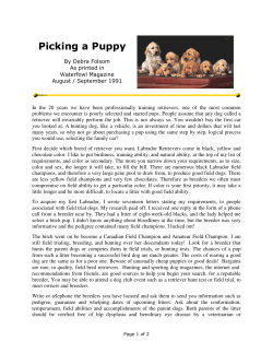 Picking a Puppy - Lake Charles Retriever Club
