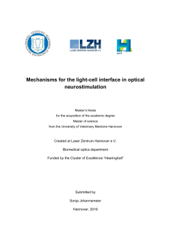 Masterarbeit Sonja Johannsmeier
