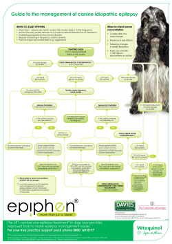 Guide to the management of canine idiopathic epilepsy