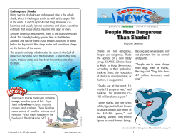 People More Dangerous Than Sharks!