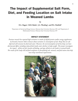 The Impact of Supplemental Salt Form, Diet, and Feeding Location