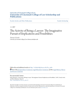 the activity of being a lawyer: the imaginative pursuit of implications