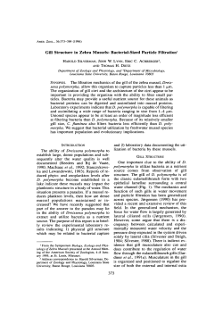 Gill Structure in Zebra Mussels: Bacterial