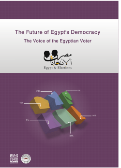 The Future of Egypt`s Democracy