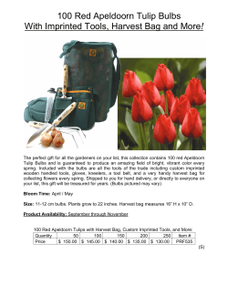 100 Red Apeldoorn Tulip Bulbs With Imprinted Tools, Harvest Bag