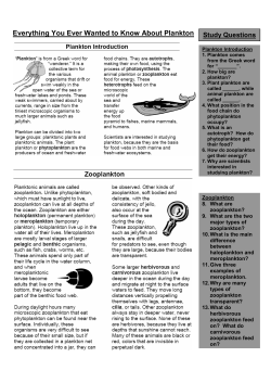 Everything You Ever Wanted to Know About Plankton