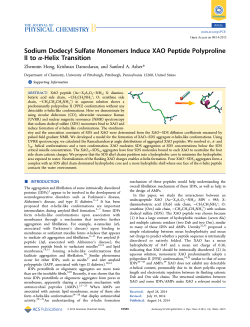 Sodium Dodecyl Sulfate Monomers Induce XAO Peptide Polyproline