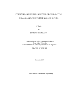PYROLYSIS AND IGNITION BEHAVIOR OF COAL, CATTLE