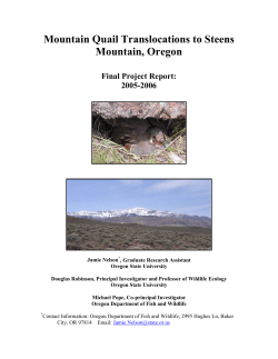 Mountain Quail Translocations to Steens Mountain, Oregon