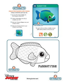 Parrot Fish