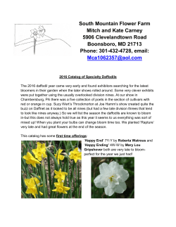 South Mountain Flower Farm Mitch and Kate Carney