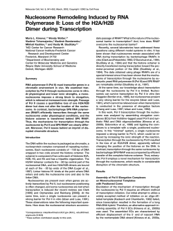 Nucleosome Remodeling Induced by RNA Polymerase II: Loss of