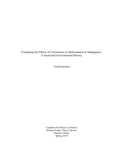 Evaluating the Effects of Colonialism on Deforestation