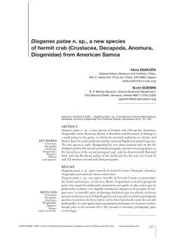 full article in PDF format