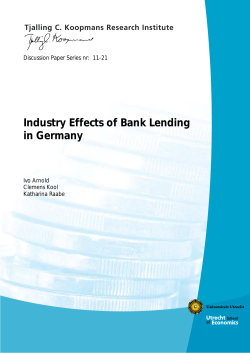 Industry Effects of Bank Lending in Germany