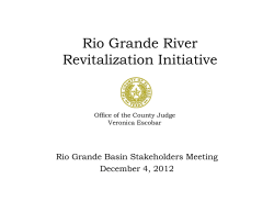 Rio Grande River Revitalization Initiative