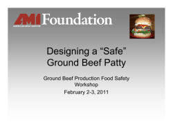 Designing a &ldquo;Safe&rdquo; Ground Beef Patty