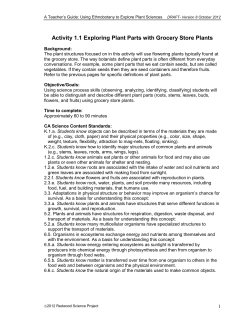 Activity 1.1 Exploring Plant Parts with Grocery Store Plants