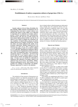 Establishment of embryo suspension cultures of - Vitis-vea