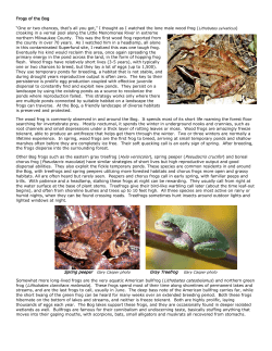 Frogs of the Bog - Friends of the Cedarburg Bog