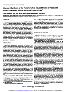 Abundant Synthesis of the Transformation