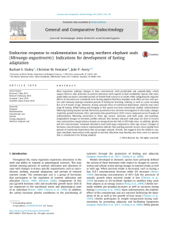 Endocrine response to realimentation in young northern elephant