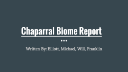 Chaparral Biome Report