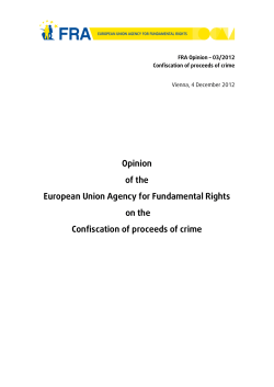 Opinion of the European Union Agency for Fundamental Rights on