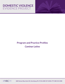 Caminar Latino - Domestic Violence Evidence Project
