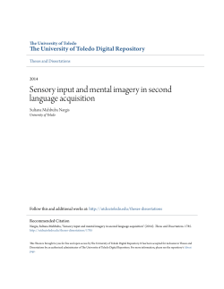 Sensory input and mental imagery in second language acquisition