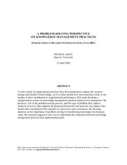 a problem-solving perspective on knowledge management practices